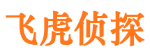 双城市私家侦探